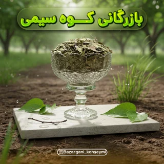 برگ سنا
